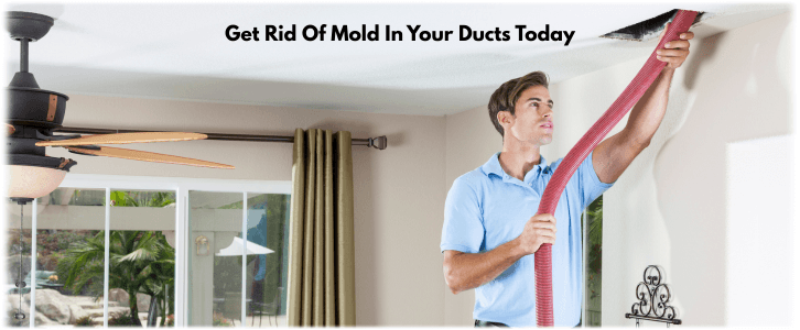 Air Duct Mold Removal in The Woodlands TX