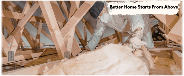 Attic Cleaning The Woodlands TX
