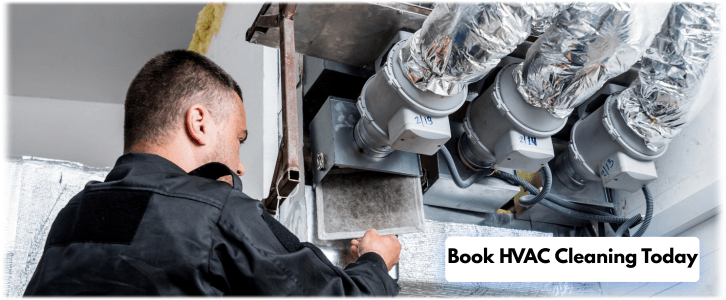 HVAC Mold Removal The Woodlands TX